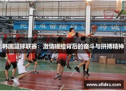 韩国篮球联赛：激情碰撞背后的奋斗与拼搏精神
